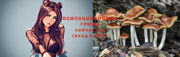 трава Магас