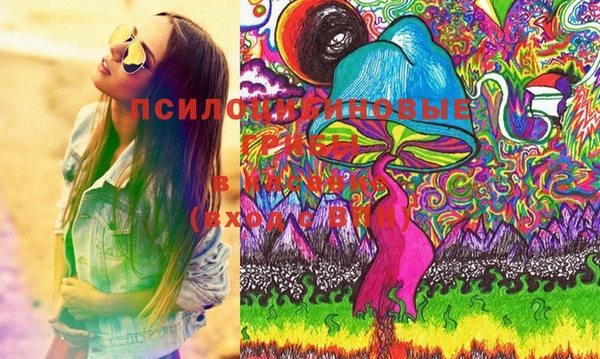 трава Магас