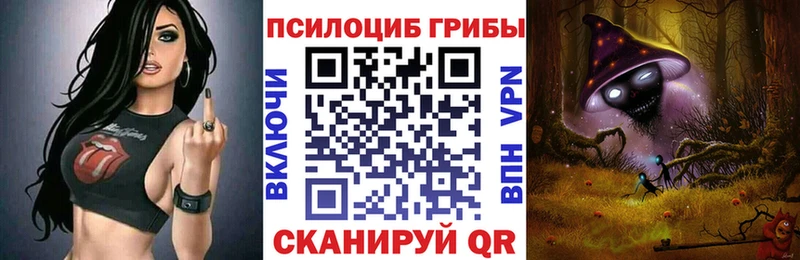 Купить  Зеленоградск  Псилоцибиновые грибы ЛСД 